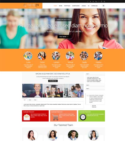 joomla theme